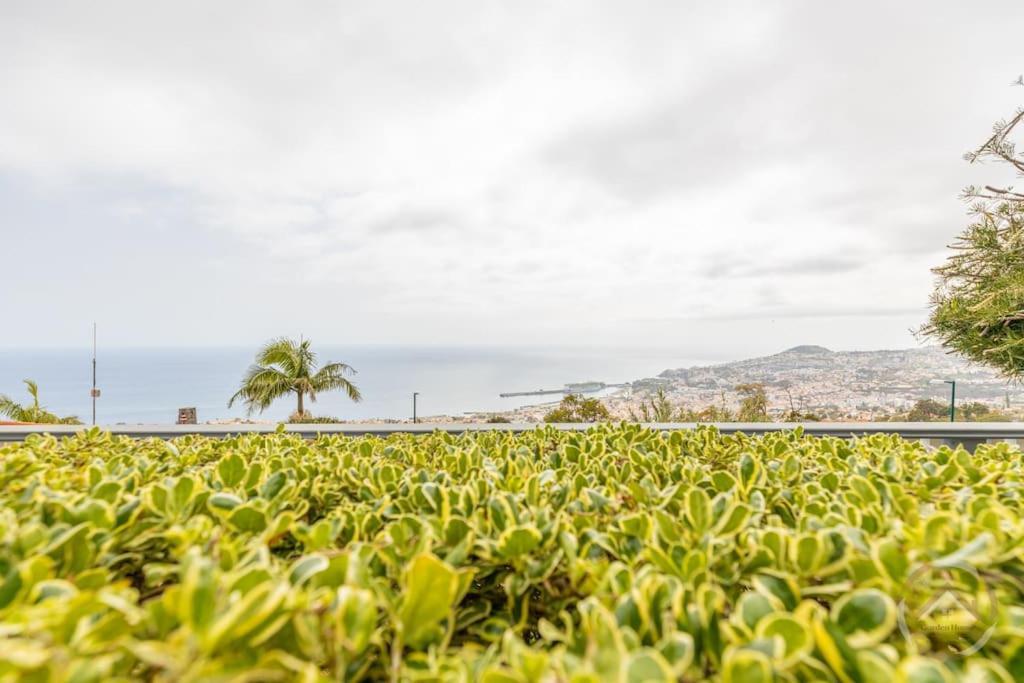 Garden House Villa Funchal  Eksteriør bilde